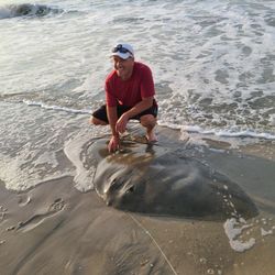 Butterfly Ray, Cape May Surf